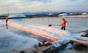 高效食品安全解決方案 - 調味品金屬檢測檢重一體機
