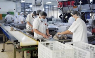 流水線輸送線特點與在線自動稱重系統(tǒng)應(yīng)用解析